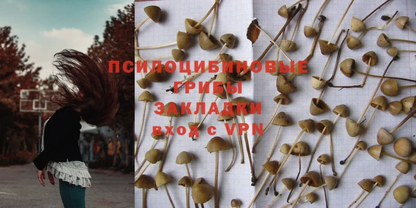 мяу мяу кристалл Богданович