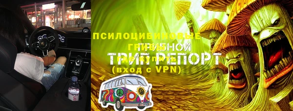 трава Богородицк
