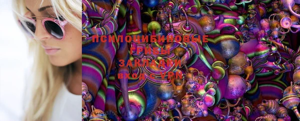 jwh Богородск
