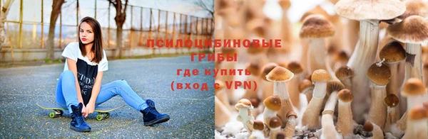 мяу мяу кристалл Богданович